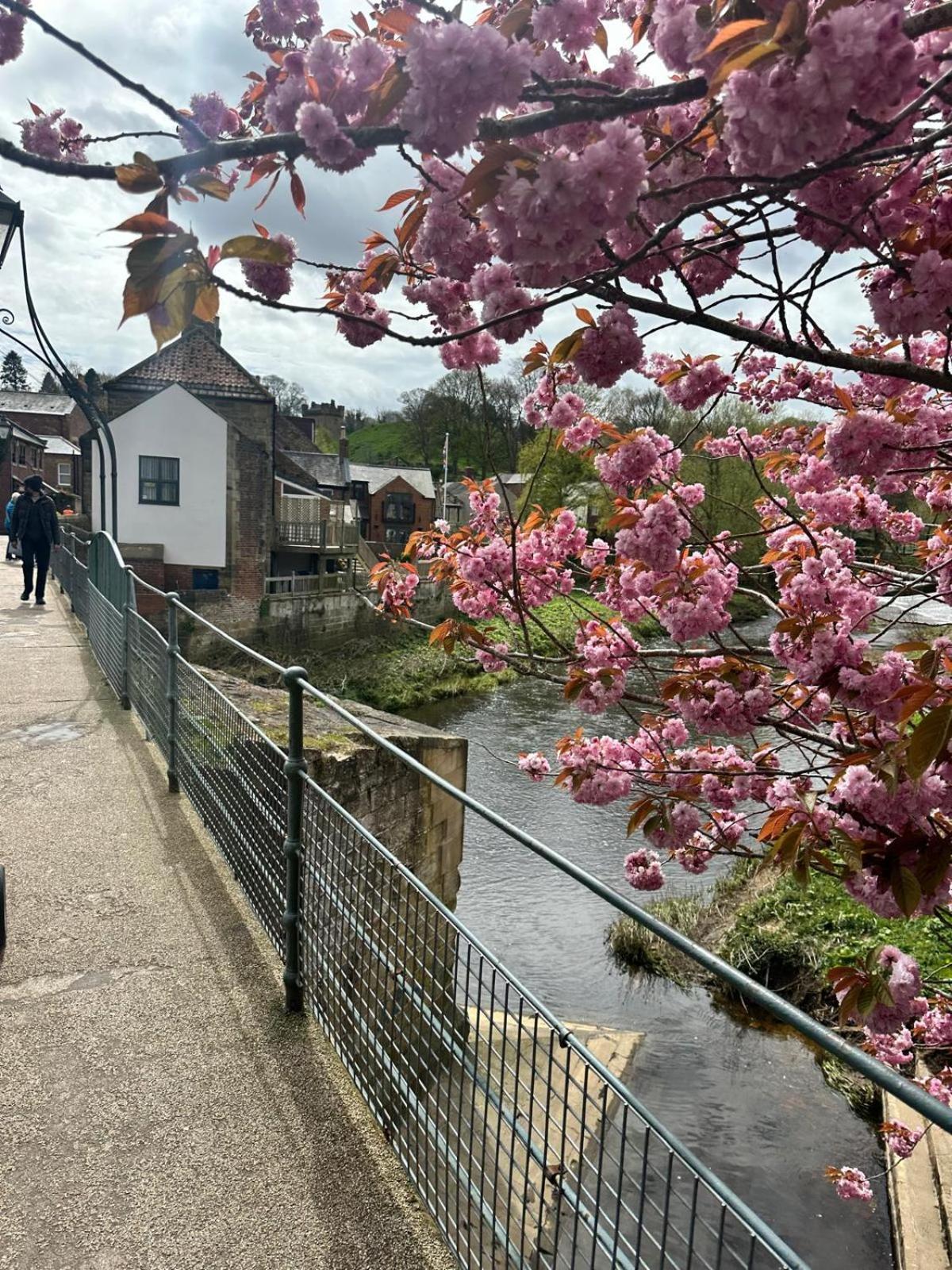 Town Center Cottage With Hot Tub モーペス エクステリア 写真
